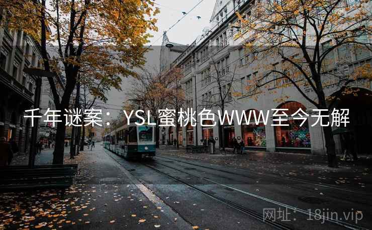 千年谜案：YSL蜜桃色WWW至今无解  第1张