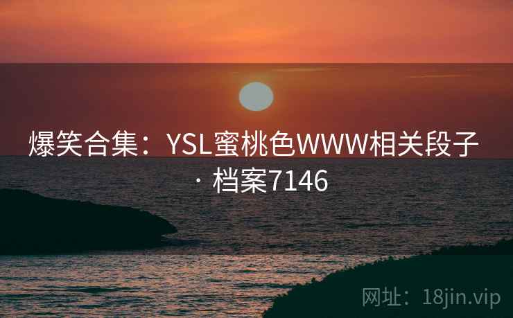 爆笑合集：YSL蜜桃色WWW相关段子 · 档案7146