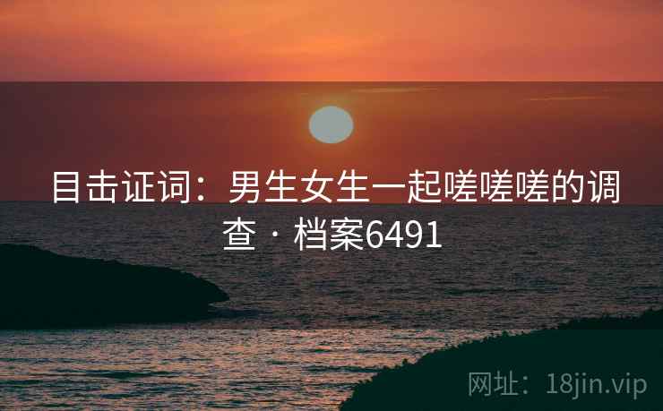 目击证词：男生女生一起嗟嗟嗟的调查 · 档案6491