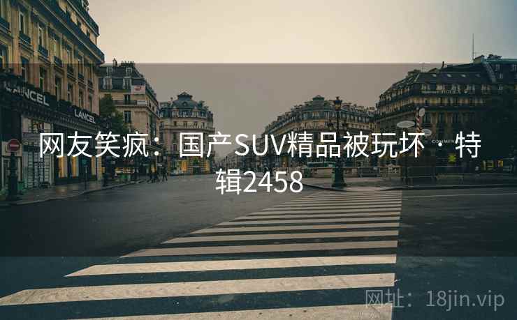 网友笑疯：国产SUV精品被玩坏 · 特辑2458