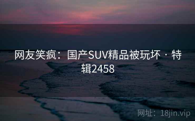 网友笑疯：国产SUV精品被玩坏 · 特辑2458