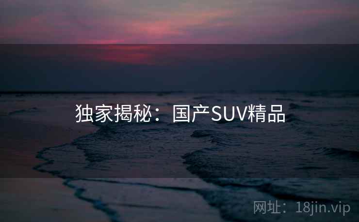 独家揭秘：国产SUV精品