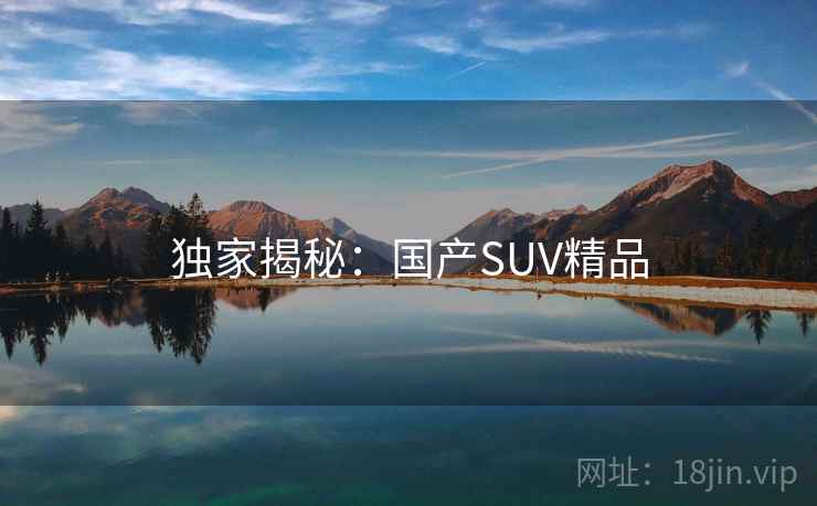 独家揭秘：国产SUV精品