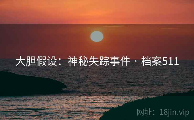 大胆假设：神秘失踪事件 · 档案511