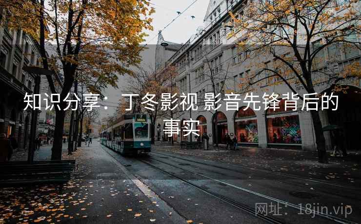 知识分享：丁冬影视 影音先锋背后的事实