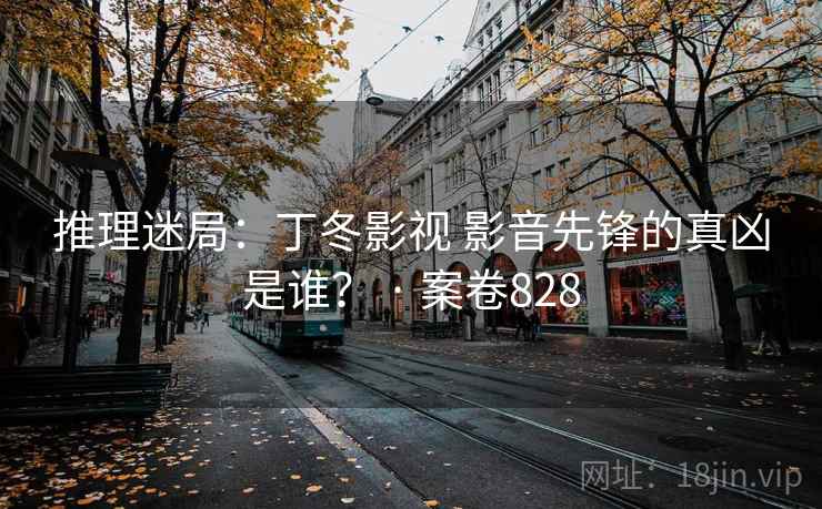 推理迷局：丁冬影视 影音先锋的真凶是谁？ · 案卷828